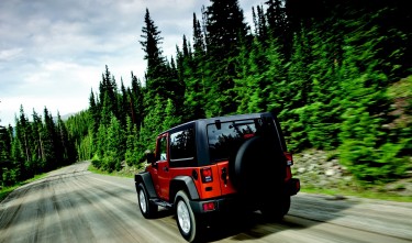 WRANGLER JEEP TREES