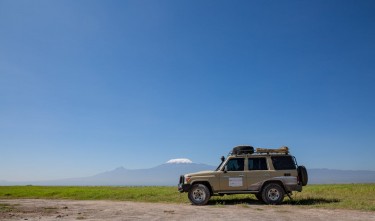 A BROWN VEHICLE PARKED ON GRASSLAND LAND CRUISER 