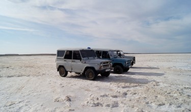 TRUCKS ON THE DESERT SAND 