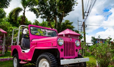 PINK CAR PARKED ON THE GREEN GRASS