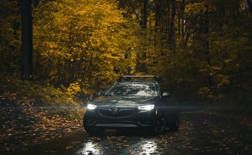 BLACK CAR ON ROAD NEAR FOREST BUICK CAR