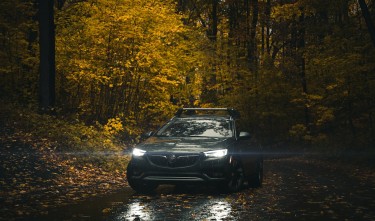 BLACK CAR ON ROAD NEAR FOREST BUICK CAR