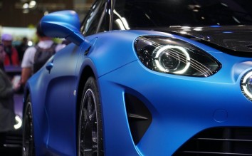 CLOSE-UP OF A BLUE ALPINE