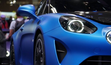 CLOSE-UP OF A BLUE ALPINE