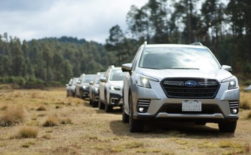 SUBARU FORESTER IN FOREST