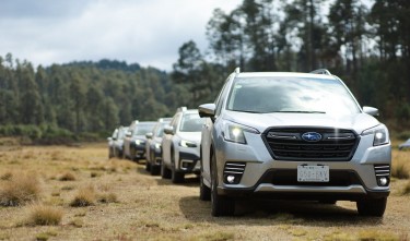 SUBARU FORESTER IN FOREST