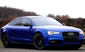 BLUE AUDI SEDAN PARKED NEAR FOREST