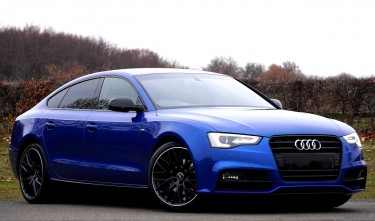 BLUE AUDI SEDAN PARKED NEAR FOREST