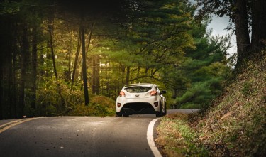  A WHITE CAR ON THE ROAD BETWEEN TREES