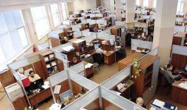 OFFICE CUBICLES EMPLOYEES WORKING