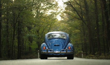 VW BEETLE CAR CLASSIC CAR FOREST